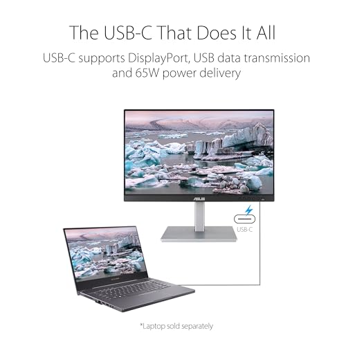 ASUS ProArt PA247CV, 23.8" (90LM03Y1-B01370)