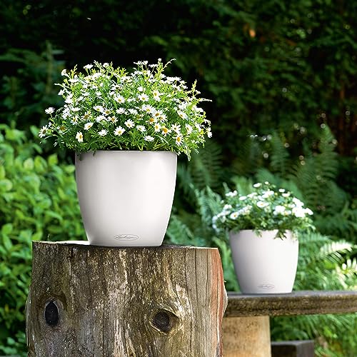 Lechuza Classico colour 28 white (13190)