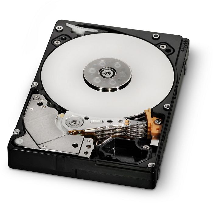 HGST Ultrastar C7K1000 1TB, SAS 6Gb/s (HUC721010ASS600 / 0B30780)