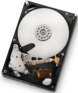 HGST Ultrastar A7K2000 1TB, 24/7, 512e / 3.5" / SATA 3Gb/s (HUA722010CLA330 / 0A39289)