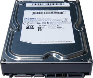 Samsung Spinpoint F1 RAID 1TB, 3.5" / SATA 3Gb/s (HE103UJ)