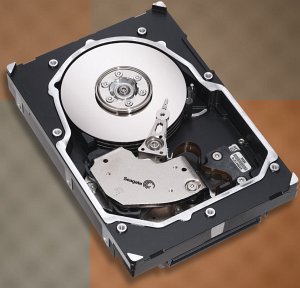 Seagate Cheetah 15K.6 450GB, 3.5" / SAS (ST3450856SS)
