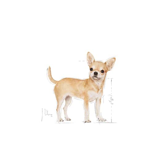 Royal Canin Chihuahua Adult, 3kg