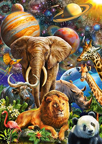 Schmidt Spiele Wundervolles Universum (58988)