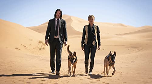 John Wick (DVD)