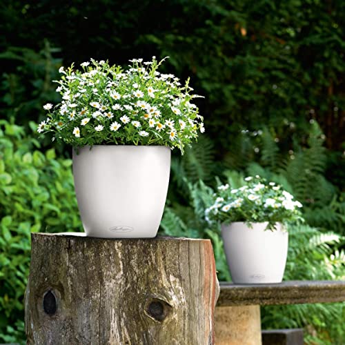 Lechuza Classico colour 28 white (13190)