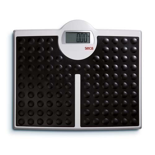 seca 813 robusta digital personal scale