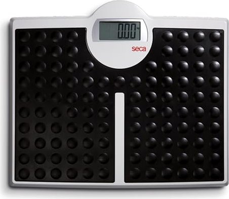 seca 813 robusta digital personal scale