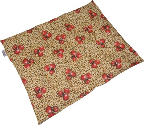 Dr. Junghans Medical Kirschkern-Kissen 40 x 50cm Wärmekissen