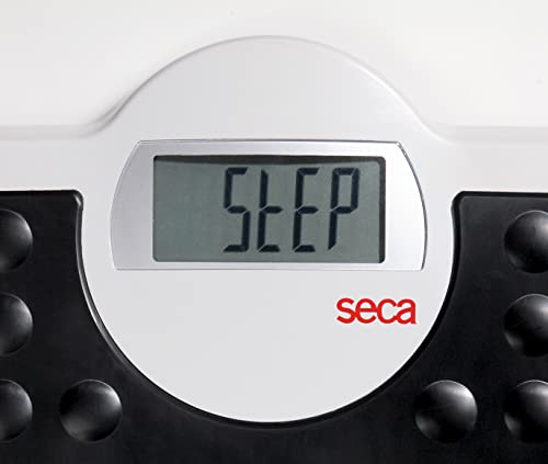 seca 813 robusta digital personal scale