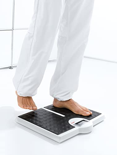 seca 813 robusta digital personal scale