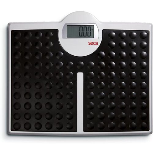 seca 813 robusta digital personal scale