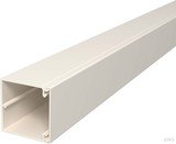 OBO Bettermann cable inlay WDK60060CW cream white, 2000x60x60mm (6021948)