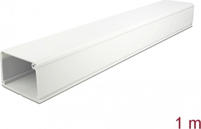 DeLOCK cable inlay with cover, self-adhesive, 83mm x 54mm, 1m length, white (20724)