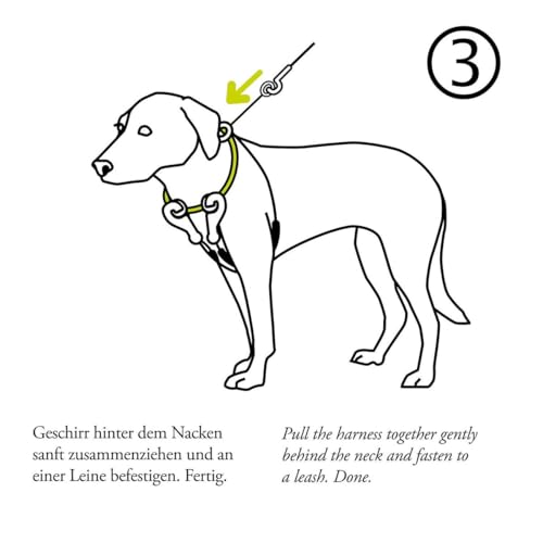 Hunter Trainings- and Ausbildungsgeschirr Side by Side 57-86cm (97784)