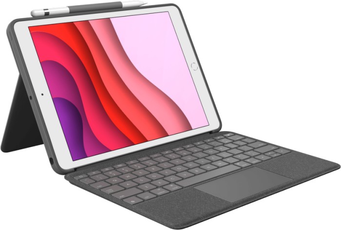 Logitech Combo Touch, KeyboardDock for Apple iPad 10.2" grey, FR (920-009625)