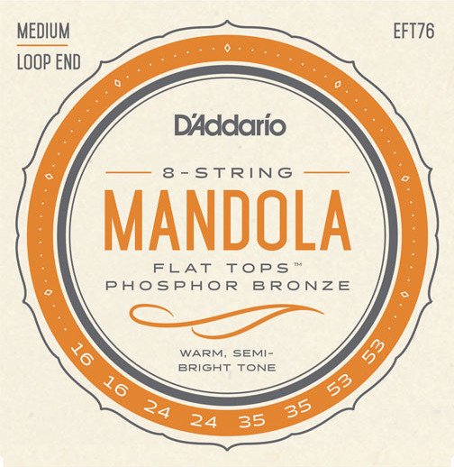 D'Addario Mandola Flat Tops Phosphor Bronze Medium (EFT76)