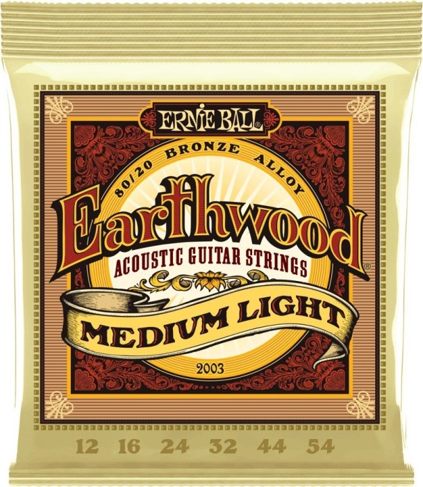 Ernie Ball Earthwood 80/20 Bronze Medium Light (P02003)