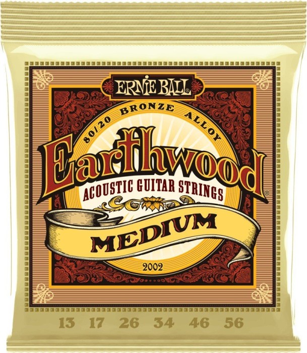 Ernie Ball Earthwood 80/20 Bronze Medium (P02002)