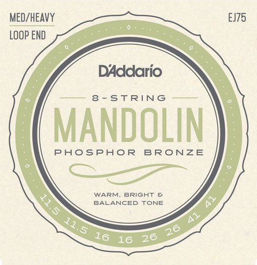 D'Addario Mandolin Phosphor Bronze Medium/Heavy (EJ75)