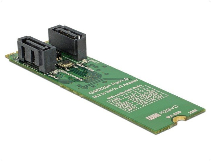 DeLOCK M.2 SATA -> SATA (62961)