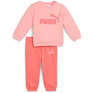 Puma Minicats Essentials Crew Trainingsanzug pink fruit (Junior) (686280-18)