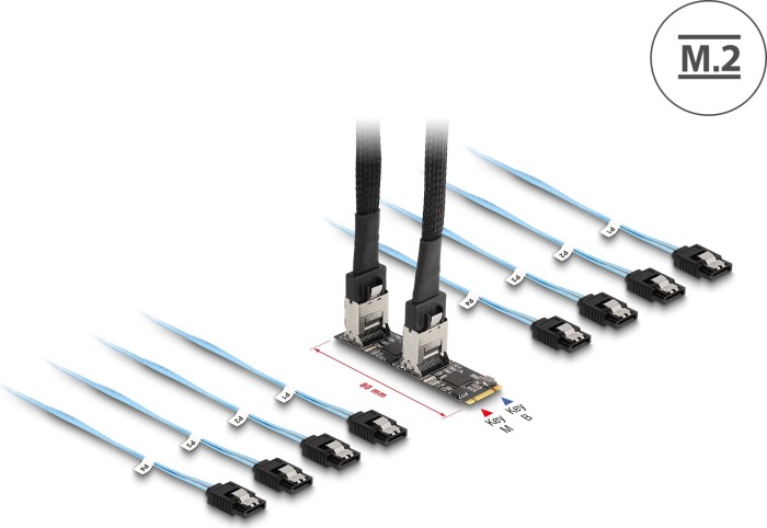 DeLOCK M.2 PCIe -> SATA (64211)