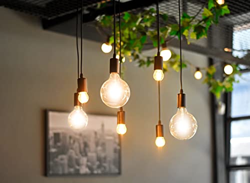 4lite Smart G125 E27 Amber Filament LED Bulb (7W) Dimmable 850Lm 2000-5000K Tuneable White, Wi-Fi/Bluetooth Controlled with Screw Fitting - 4l1/8047 [Energy Class F]
