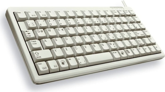 Cherry G84-4100 Compact-Keyboard light grey, Cherry ML, PS/2 & USB, FR (G84-4100LCMFR-0)
