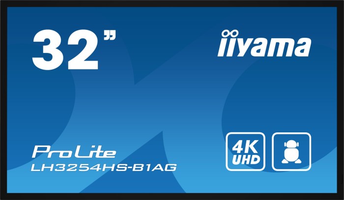 iiyama ProLite LH3254HS-B1AG, 31.5"