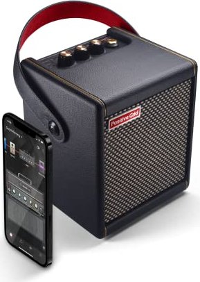 Positive Grid Spark mini Black