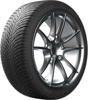 Michelin Pilot Alpin 5 315/30 R21 105V XL (468761)