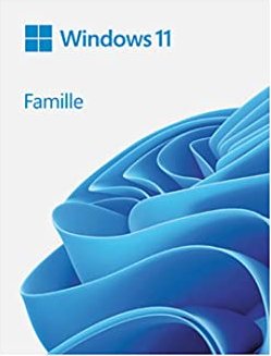 Microsoft Windows 11 Home 64bit, DSP/SB (French) (PC) (KW9-00636)