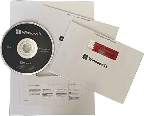 Microsoft Windows 11 Pro 64bit, DSP/SB (French) (PC) (FQC-10532)