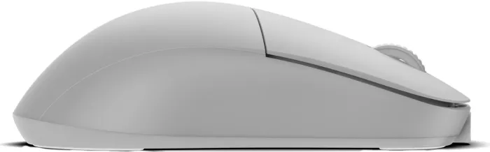 Endgame Gear XM2w 4k wireless Gaming Mouse white frost, USB (EGG-XM2W-4K-WF)