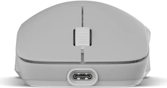 Endgame Gear XM2w 4k wireless Gaming Mouse white frost, USB (EGG-XM2W-4K-WF)