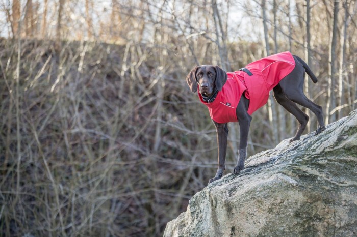 Trixie Vimy Regenmantel for dogs, red, 40cm (680223)
