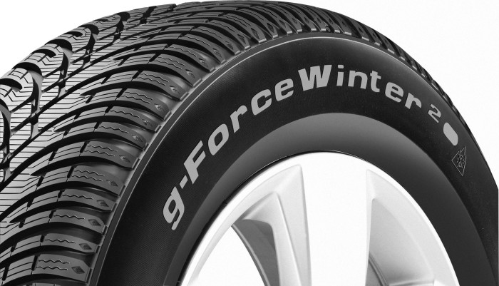 BFGoodrich g-Force Winter 2 195/65 R15 95T XL (734147)