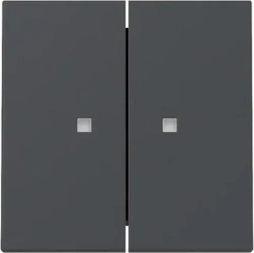 Gira rocker 2 x with control window, anthracite (3631 28)